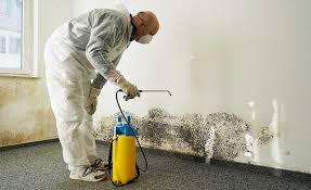 Professional Mold Removal in Riverton, IL